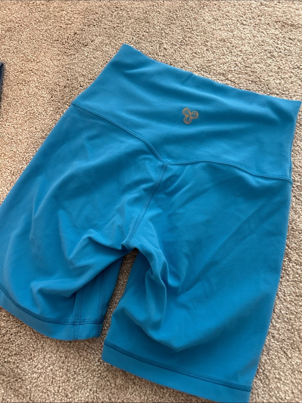 Aritzia Teal High-Waist Bike Shorts